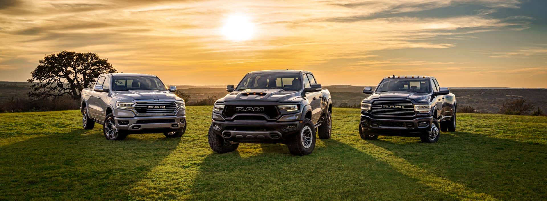 Ram models