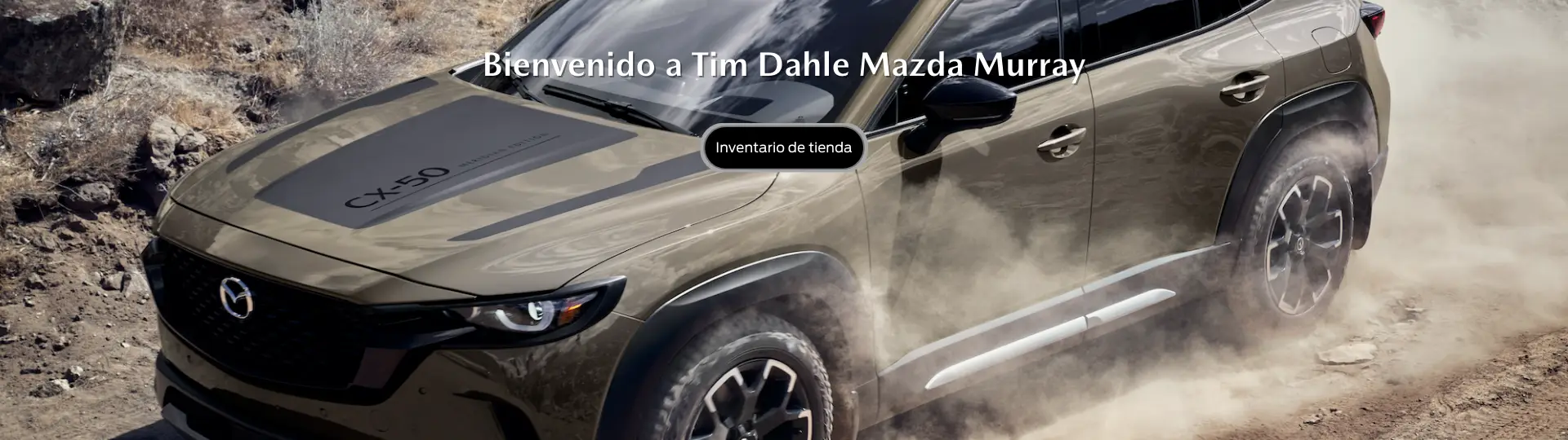 tim dahle used cars