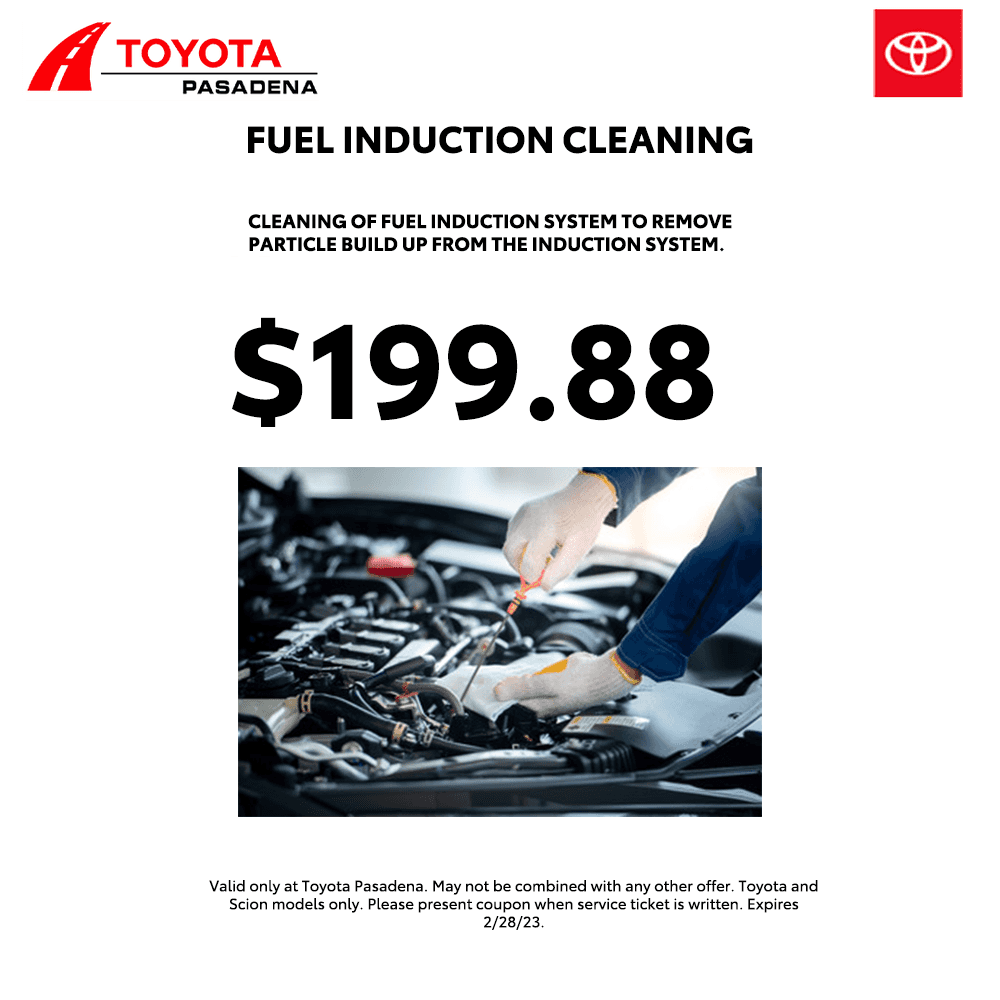 Fuel Induction Cleaning