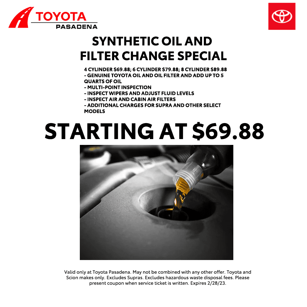 Synthetic Oil and filter change special