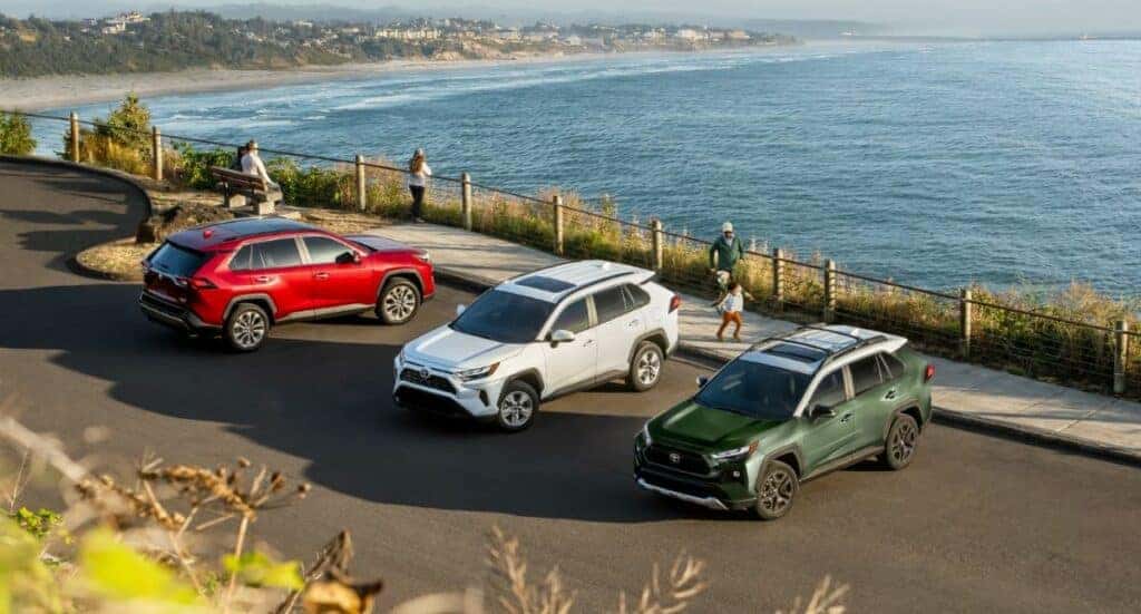 2024 Toyota RAV4 Color Options