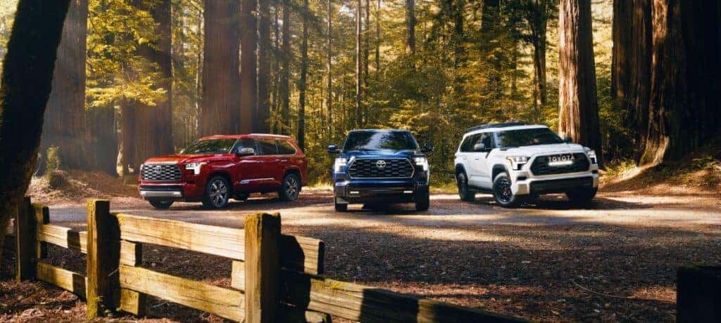 2025 Toyota Sequoia For Sale Near Me